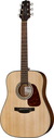 TAKAMINE GD10NS