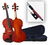 CERVINI HVA-150 16" VIOLA