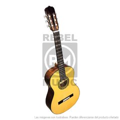 ARIA AK30