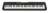 CASIO CT-S100
