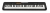 CASIO CT-S100