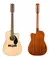 FENDER CD-60SCE-12