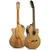 GRACIA M8 PRENER 5 BANDAS C/CANON-PLUG