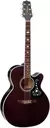 TAKAMINE GN75CETBK