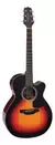 TAKAMINE GN30CEBSB