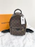 Imagem do Mochila Louis Vuitton Palm Springs PM Monograma