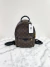 Mochila Louis Vuitton Palm Springs PM Monograma