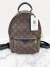 Mochila Louis Vuitton Palm Springs PM Monograma na internet