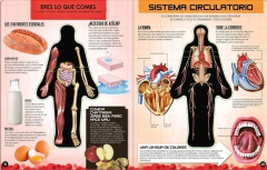 MIREMOS DENTRO DEL CUERPO HUMANO en internet