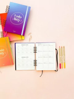 Organizador diario - violeta y celeste - comprar online