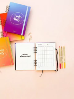 Organizador diario - violeta y celeste en internet