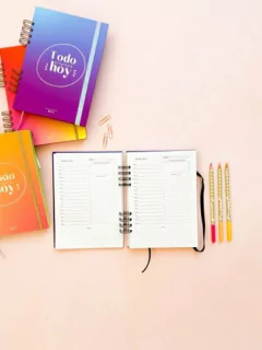 Imagen de Organizador diario - violeta y celeste