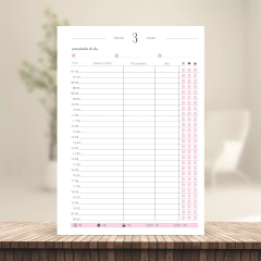 (Harmonia Rosa - Agendamento Procedimento) Miolo de Agendamento Datado 2026 1DPP A5 418 páginas - comprar online
