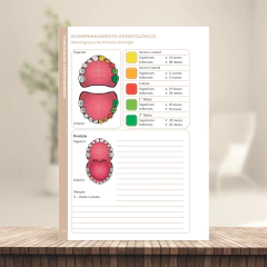 Imagem do (BEGE - Menino - Clean - com borda) Miolo de Caderneta de Vacina 112 páginas A5 90g Sétima edição REVISADA 2025
