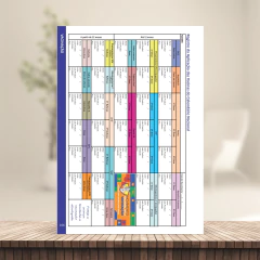 (CORES ORIGINAIS - Menino - Clean - com borda) Miolo de Caderneta de Vacina 112 páginas A5 90g Sétima edição REVISADA 2025 - comprar online