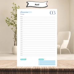 (Coleção Vagalume 2027 1dpp com horas) Miolo de Agenda A5 1dpp 396 páginas 75g - comprar online