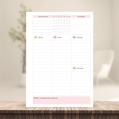 (Escolha - Planner Master Elegance 2026 Vertical c/ Pauta) Miolo de Planner Datado 2026 17x23cm 90g 218 páginas na internet