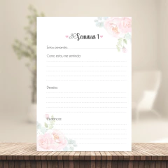 (Diário da Gestante - A5 180g) Miolo Impresso A5 com 106 páginas 180g - loja online