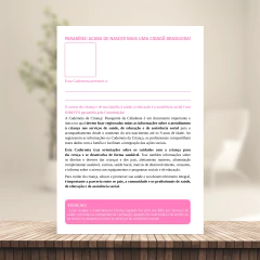 (ROSA - Menina - Clean - com borda) Miolo de Caderneta de Vacina 112 páginas A5 90g Sétima edição REVISADA 2025 - loja online