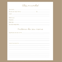 (Livro Bebê Verde 18x23cm) Miolo Impresso Livro do Bebê com 100 páginas 180g - comprar online