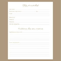 (Livro Bebê Azul 18x23cm) Miolo Impresso Livro do Bebê com 100 páginas 180g - comprar online