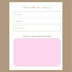 (Livro Bebê Rosa 18x23cm) Miolo Impresso Livro do Bebê com 100 páginas 180g - loja online