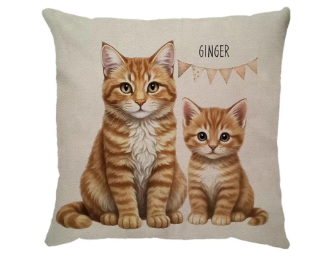 Capa linho Ginger - comprar online