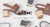 Banner rotativo 3