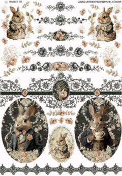Decotransfer Rabbit 7b