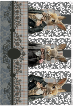 Fulltransfer uv Rabbit 8b