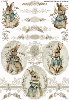 Fulltransfer uv Rabbit 2