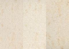 savanna 3