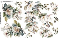 color transfer fb34