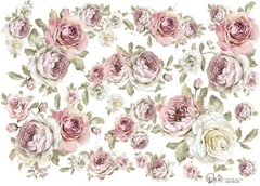 colortransfer UV A4 FB9