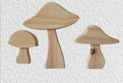 Trío de hongos