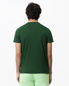 CAMISETA LACOSTE REGULAR FIT ALGODÃO PIMA VERDE PINHA na internet