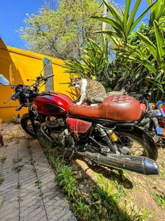 Cartuchera Lateral Defensas Royal Enfield Himalayan