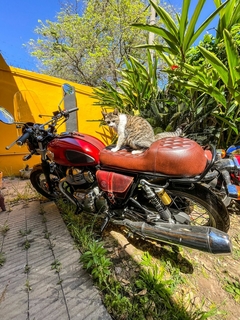 Cartuchera Lateral Royal Enfield Interceptor Y Continental GT 650