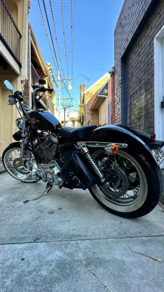 Image of Alforja Solitaria Harley Davidson Sportster