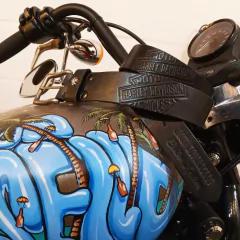 Cinturón Harley Davidson on internet