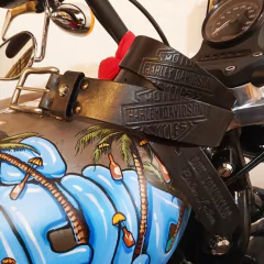 Cinturón Harley Davidson - buy online