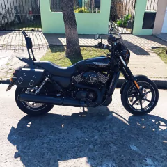 Par de Alforjas Harley Davidson Street 750 - buy online
