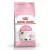 ROYAL CANIN GATITOS KITTEN