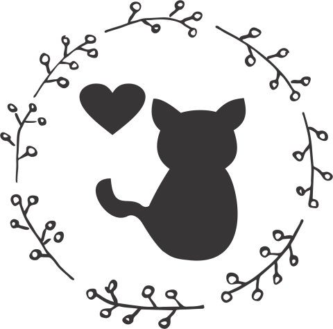 Gato de Papel