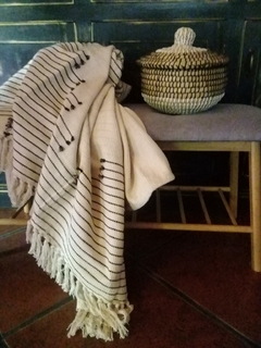 Manta Anto