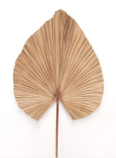 Hoja Laos