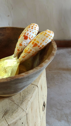 Juego de tenedor y cuchara de nacar y caracol - La Fabricana
