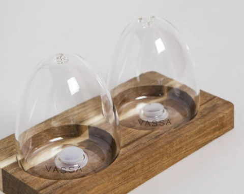 Set de salero y pimentero amorfo