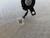 Tweeter Alto Falante Dianteira esquerda Elantra 12/13 Orig. - Car Plastic Brasil