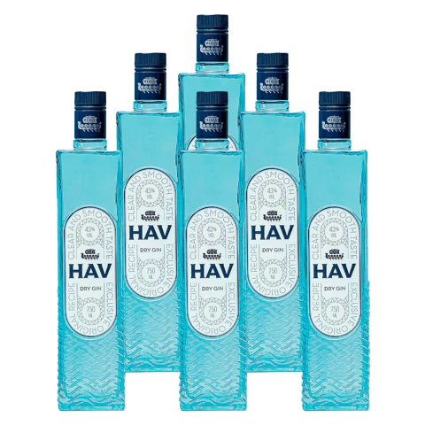 Gin HAV Dry Gin Garrafa de Vidro 750ml 6 Unidades